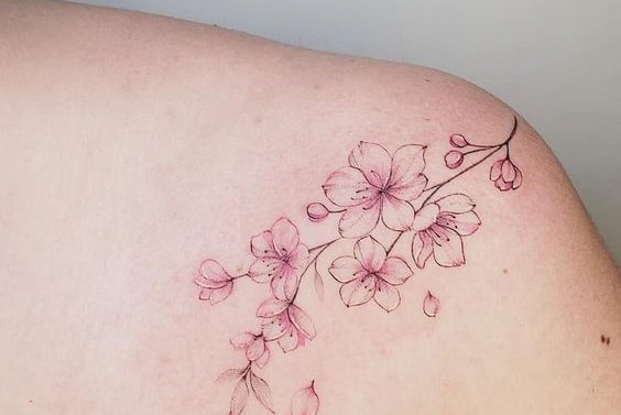 ветка сакуры татуировка