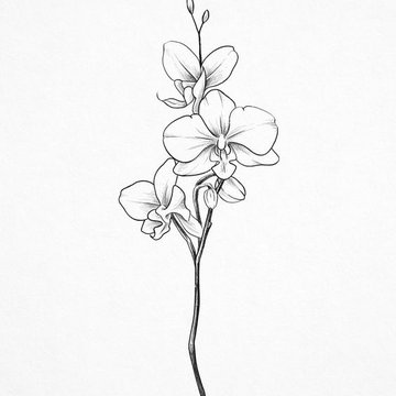 Тату-ескізи орхідея