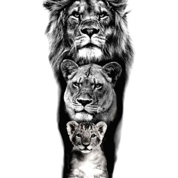 Тату ескізи лев
