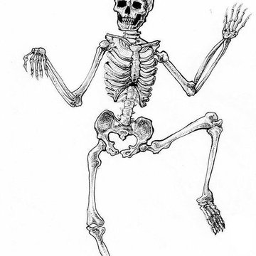 Тату эскизы скелет