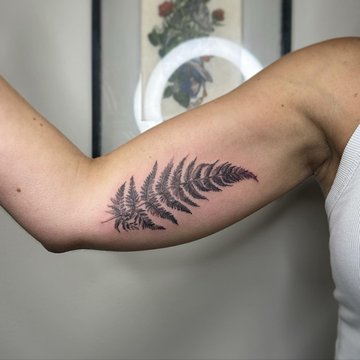 Тату папоротник