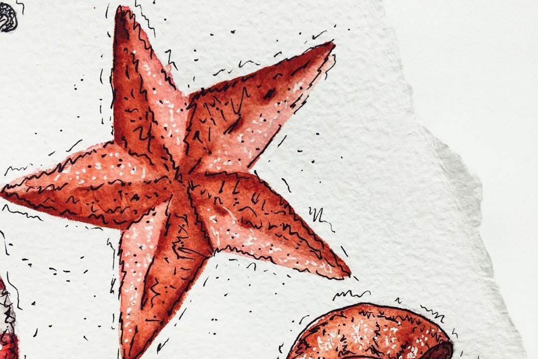 Тату-ескізи морська зірка