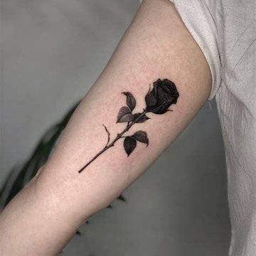 Тату эскизы розы