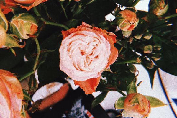 Послуги віщого рівня