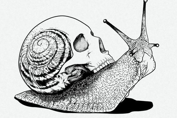 Тату - эскизы улитка