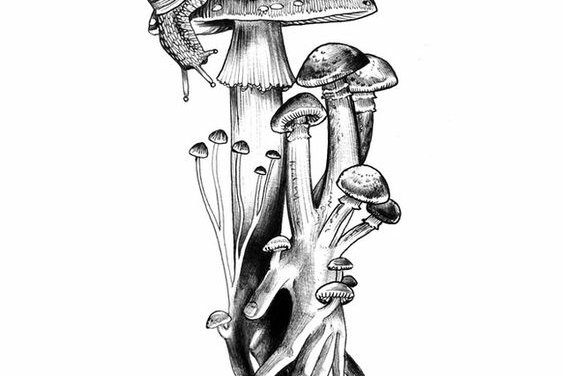 Тату-ескіз гриб