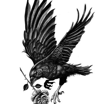 Тату-ескізи ворона