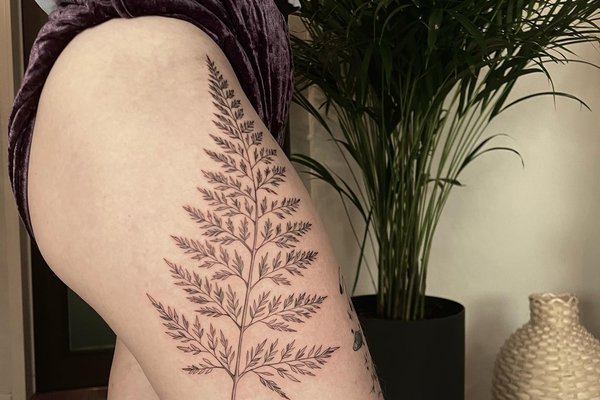 Тату папоротник