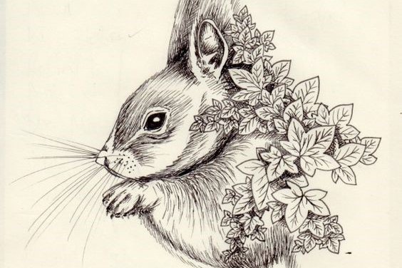 Тату-ескіз білка