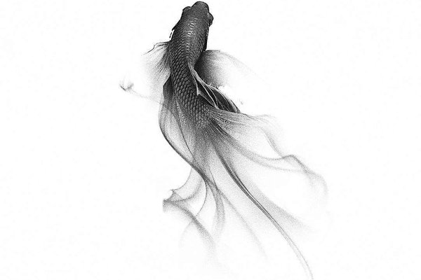 Тату-эскиз рыба