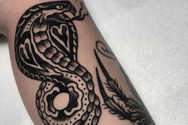 тату кобра значення ескіз