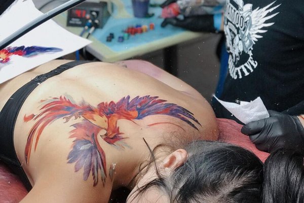 Преимущества обучения VeAn