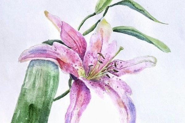 Тату ескізи лілії