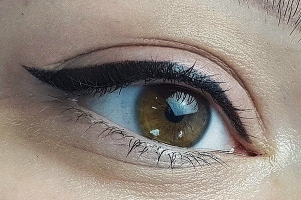 Принципы рассмотрения и изложения <br> обучение татуажу в Мариуполе