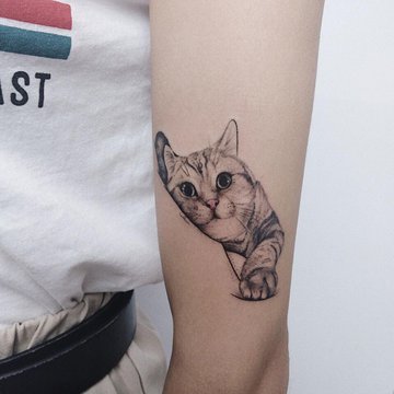 Обучение тату в Житомире