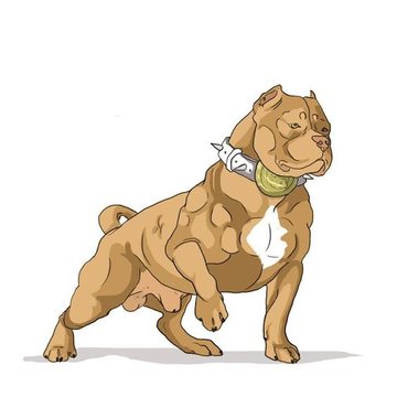 Тату эскизы питбуль