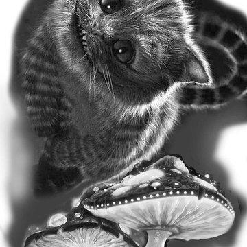 Тату эскизы чеширский кот