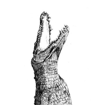 Тату-эскиз крокодил