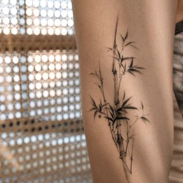 Тату-эскиз бамбука