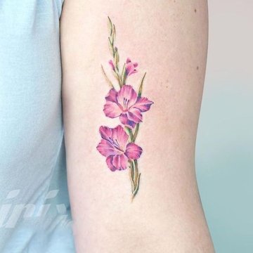 Тату ескізи гладіолус