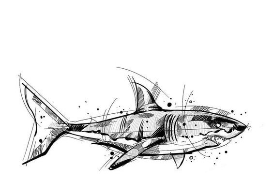 Тату ескізи акули
