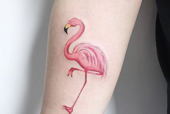 Тату-ескізи "Фламінго"