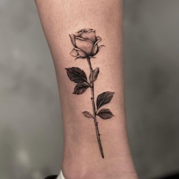 Тату эскизы розы