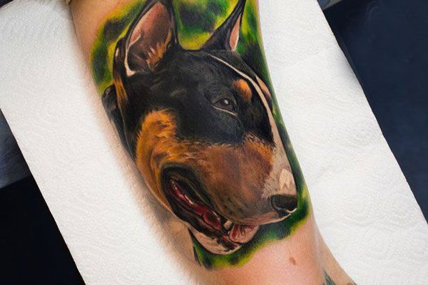 Тату ескізи бультер'єр