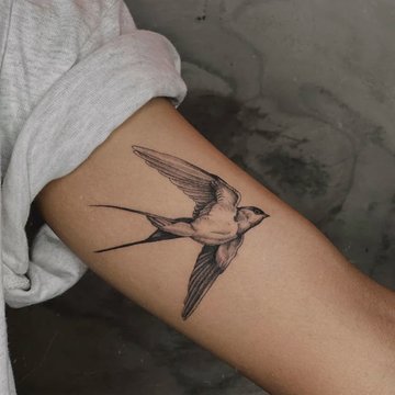 Тату-ескізи Птахи