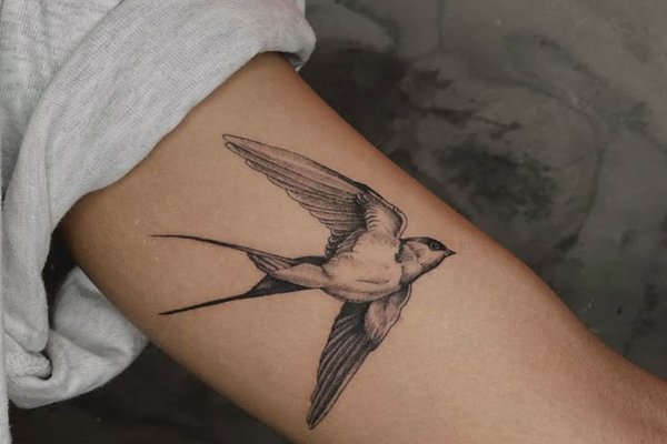 тату птицы значение