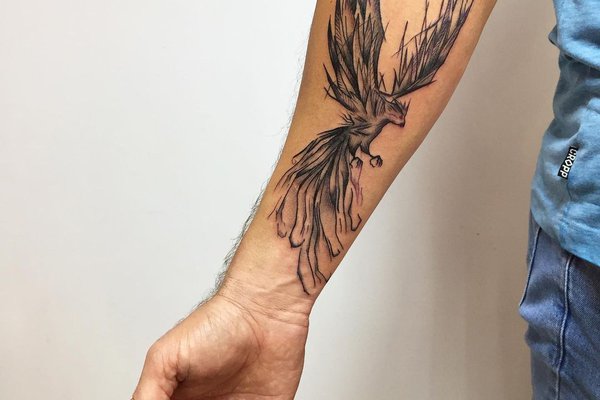 Why the studio "VeAn" is the best choice