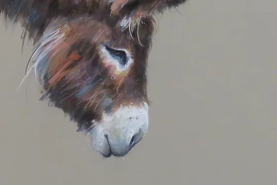 Тату-ескіз осел