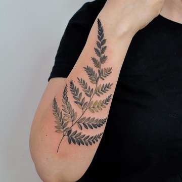 Тату папороть
