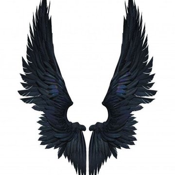 Тату ескізи крил