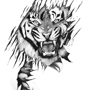 Тату ескізи «Тигр»