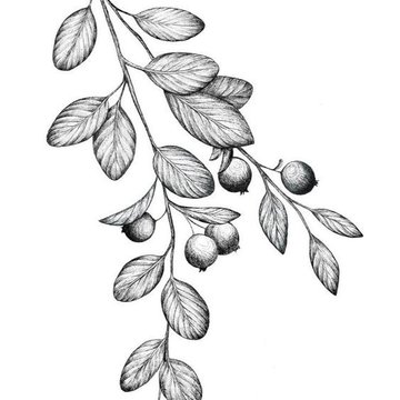 Тату-эскизы "ягоды"