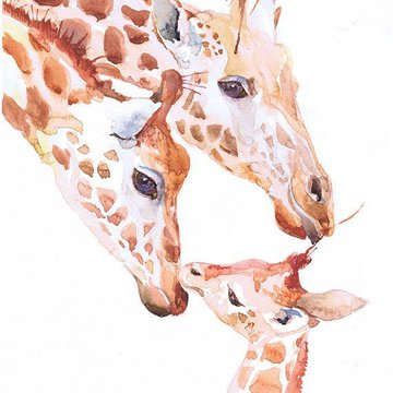 Тату эскизы жираф