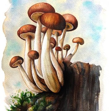 тату-эскиз грибы