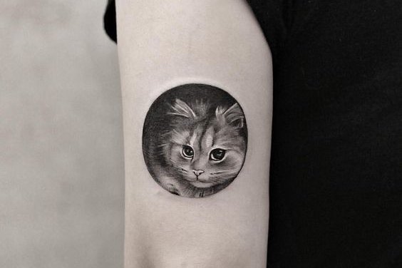 Тату ескізи коти