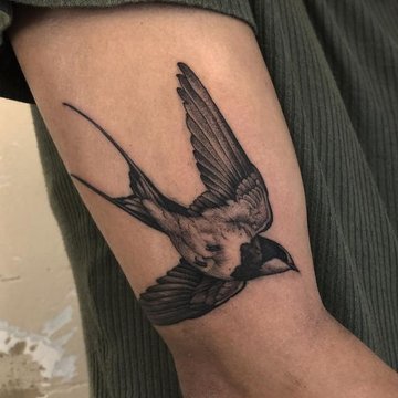 тату птицы значение