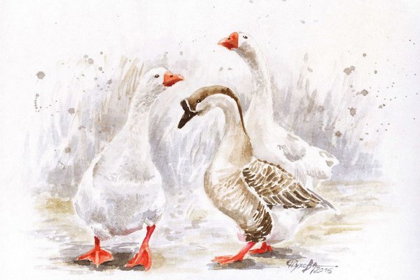 Тату-эскиз гусь