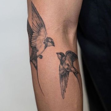 Тату эскизы ласточка