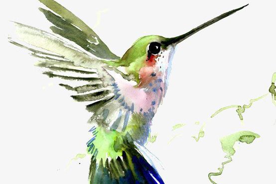 Тату ескізи колібрі