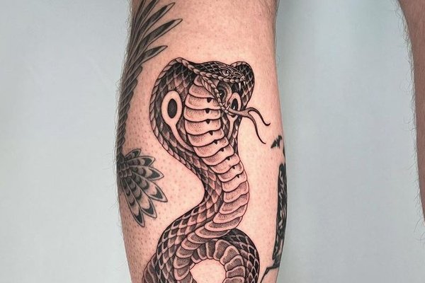 тату кобра значення ескіз