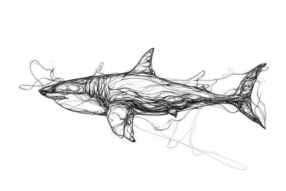 Тату ескізи акули