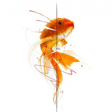 Тату эскизы золотая рыбка