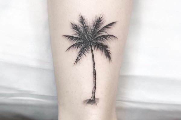 Тату-ескізи "Пальма"