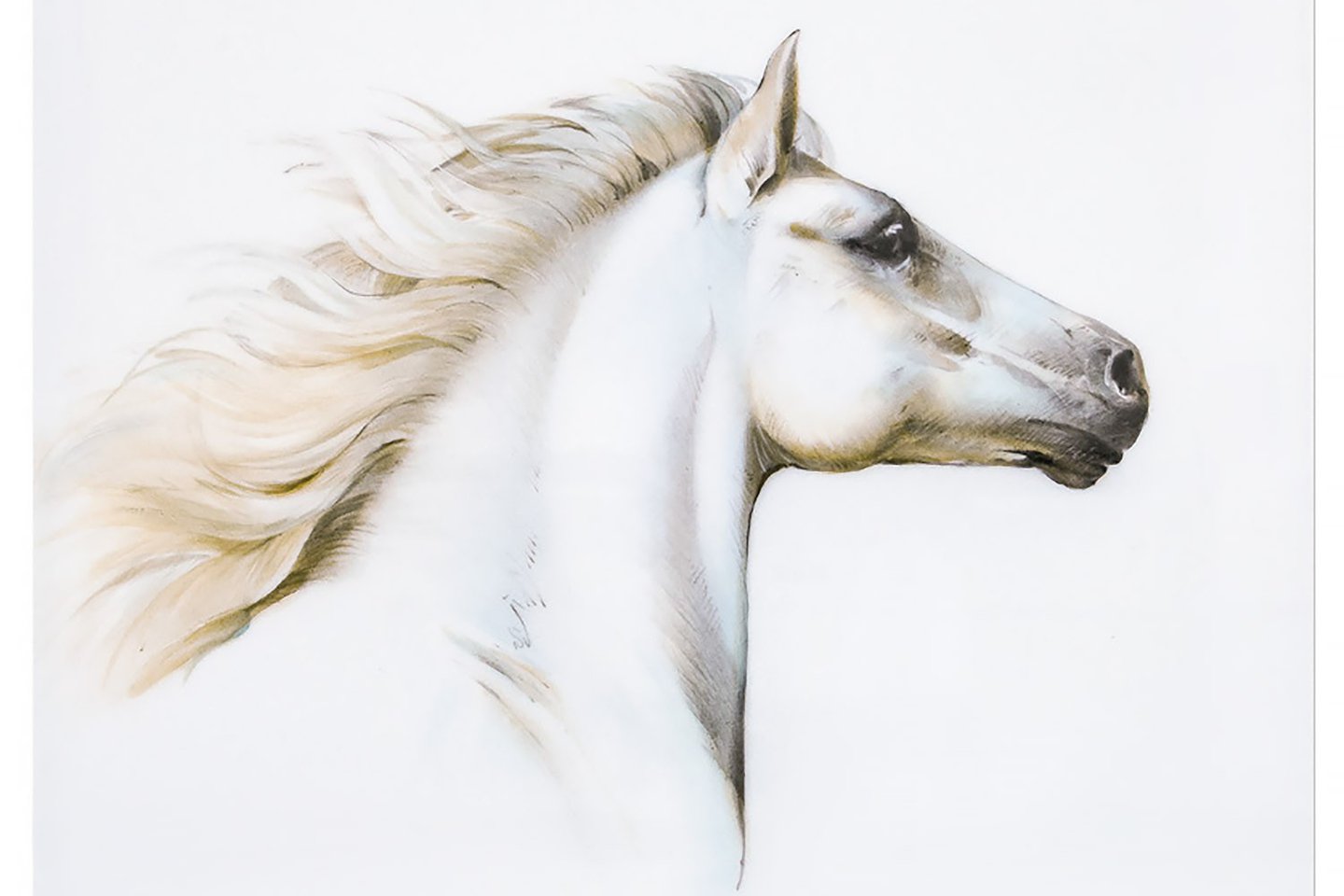 Тату эскизы лошади