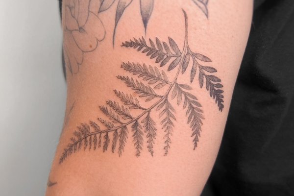 Тату папороть
