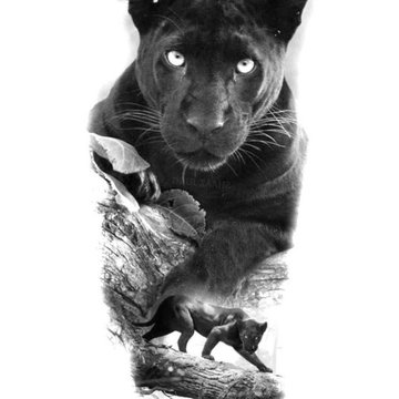 Тату эскизы пантеры